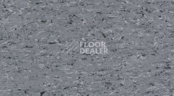 Линолеум Gerflor Mipolam Accord 0350 PUKAKI фото 1 | FLOORDEALER